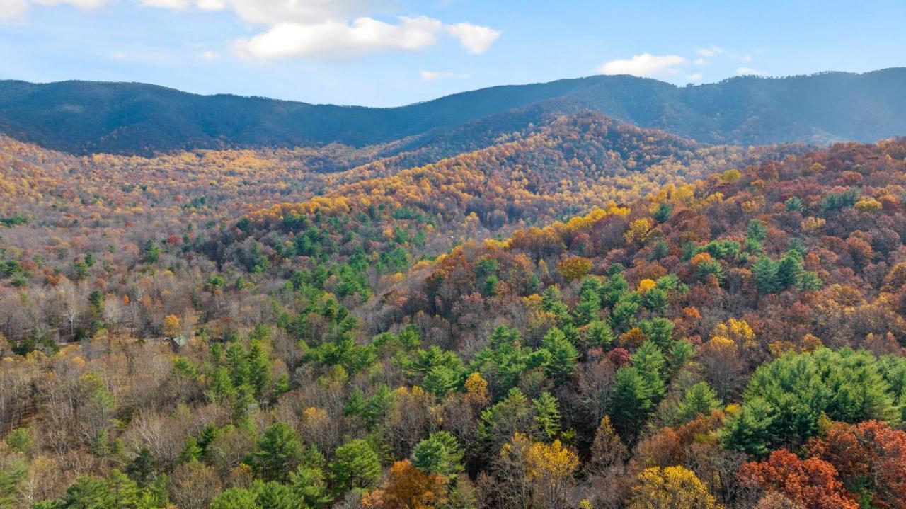 Sleepy Hollow 5Br Cabin - National Park 7 Min, Hot Tub, Fire Pit, Sleeps 12 Luray Exteriör bild